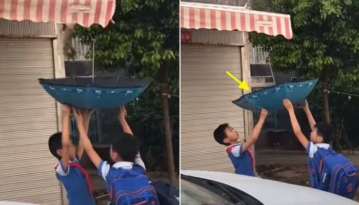 애니멀플래닛