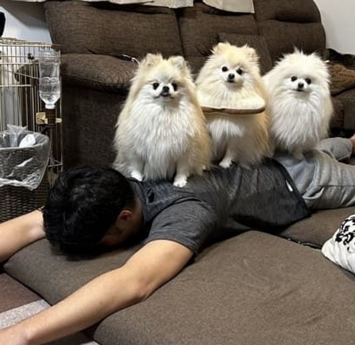 애니멀플래닛