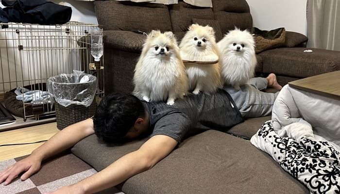 애니멀플래닛