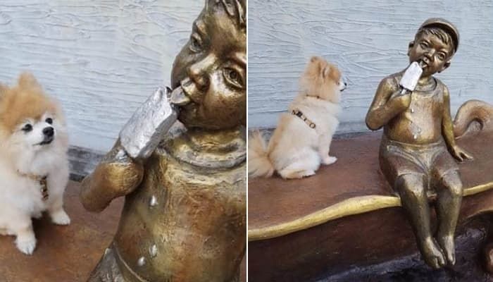애니멀플래닛