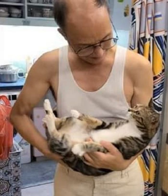 애니멀플래닛