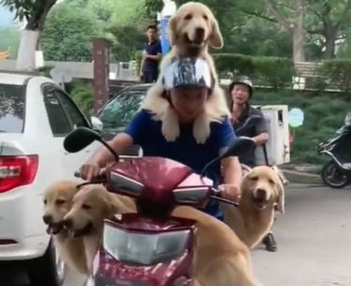 애니멀플래닛