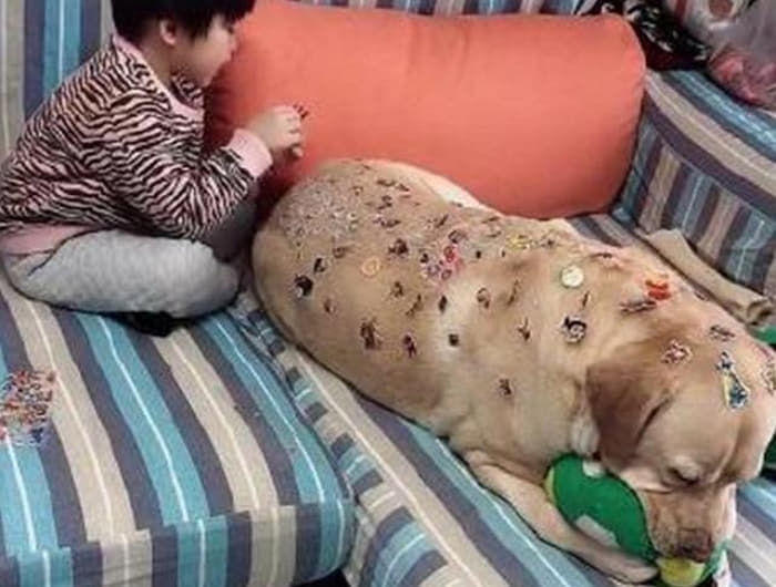 애니멀플래닛