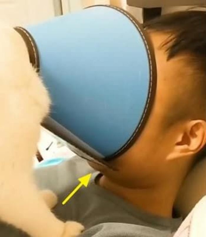 애니멀플래닛