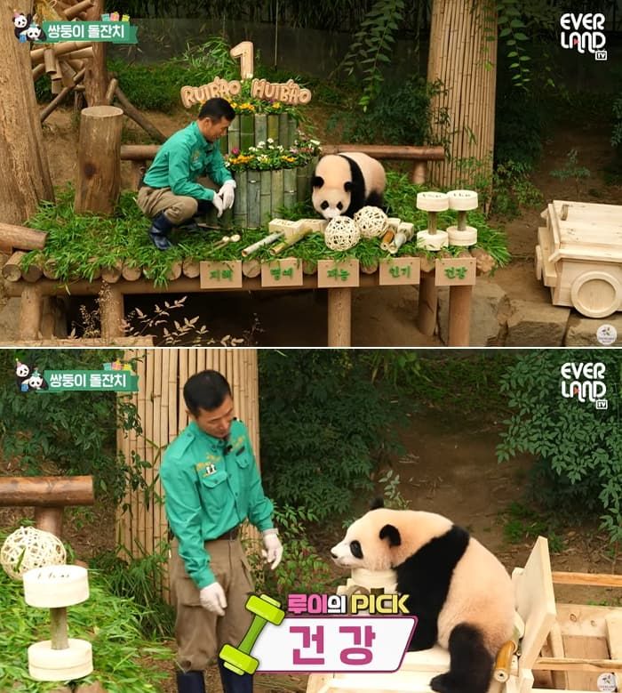 애니멀플래닛