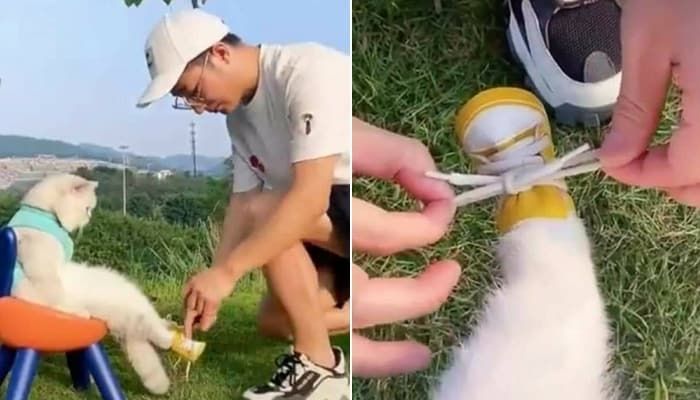 애니멀플래닛