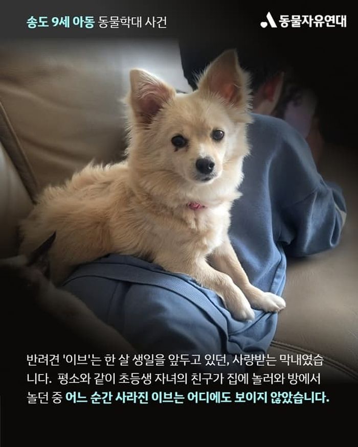 애니멀플래닛