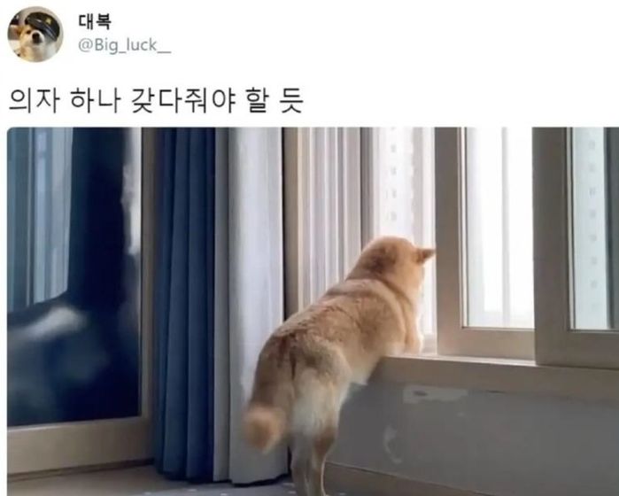 애니멀플래닛