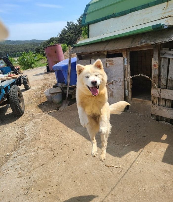 애니멀플래닛