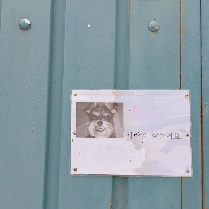 애니멀플래닛