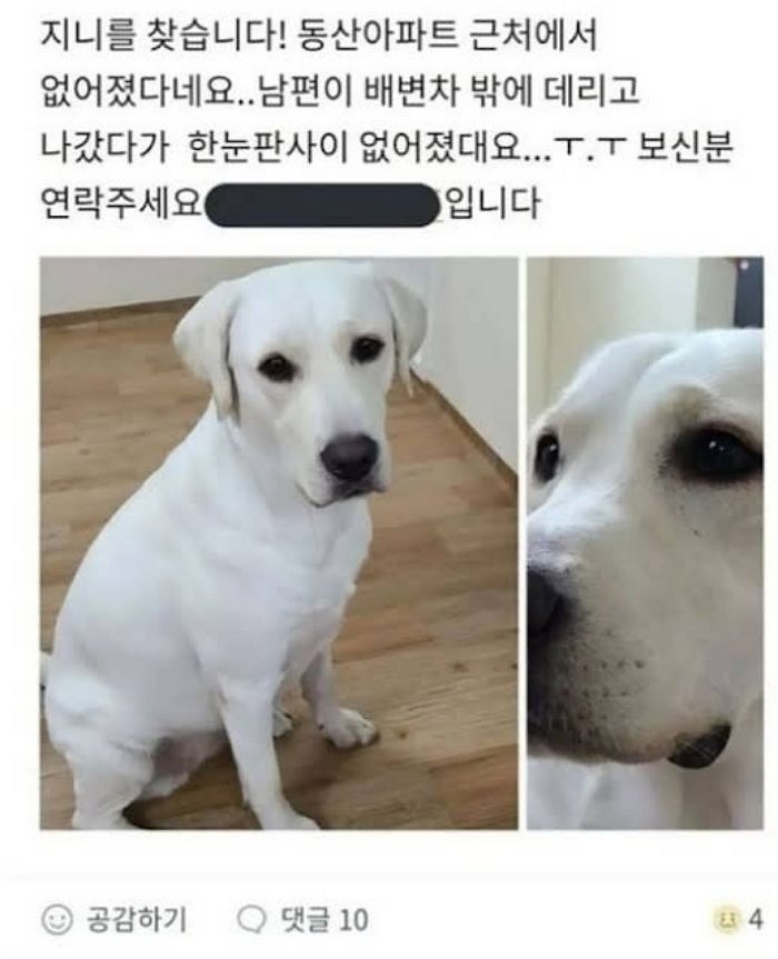 애니멀플래닛