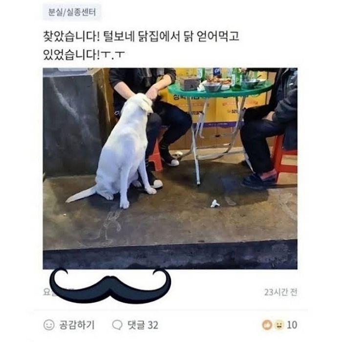 애니멀플래닛