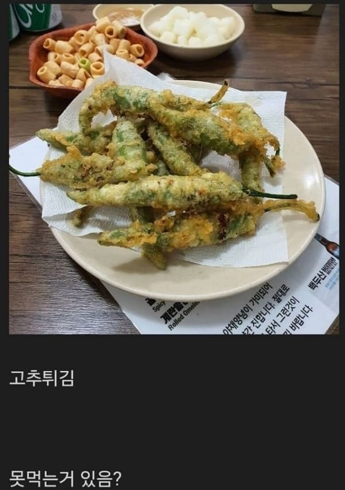 애니멀플래닛