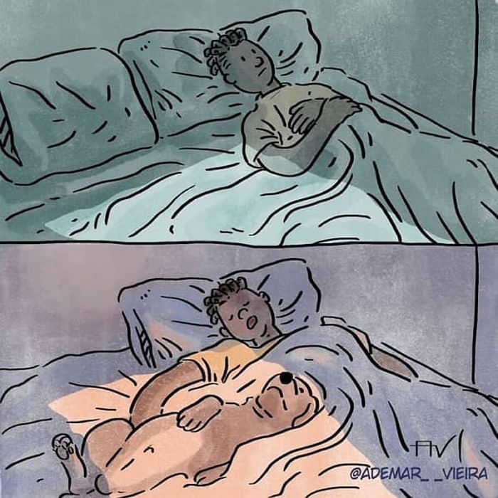 애니멀플래닛