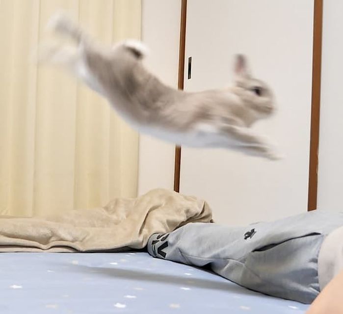 애니멀플래닛