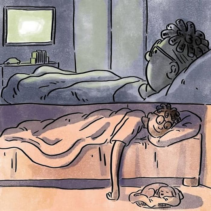 애니멀플래닛