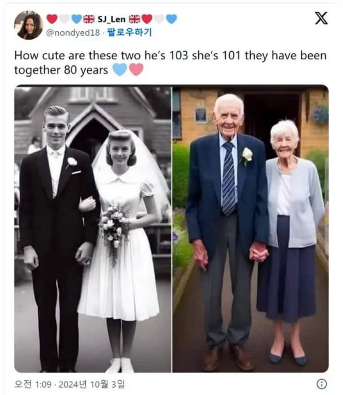 애니멀플래닛