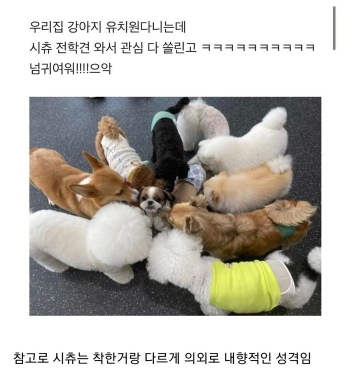 애니멀플래닛