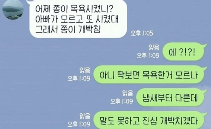 애니멀플래닛