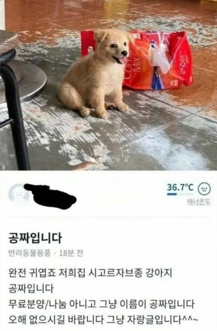 애니멀플래닛