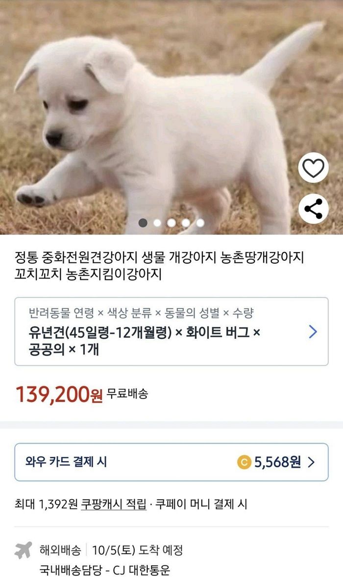 애니멀플래닛