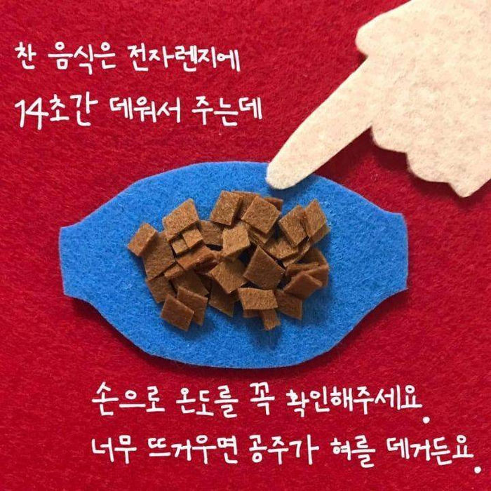 애니멀플래닛