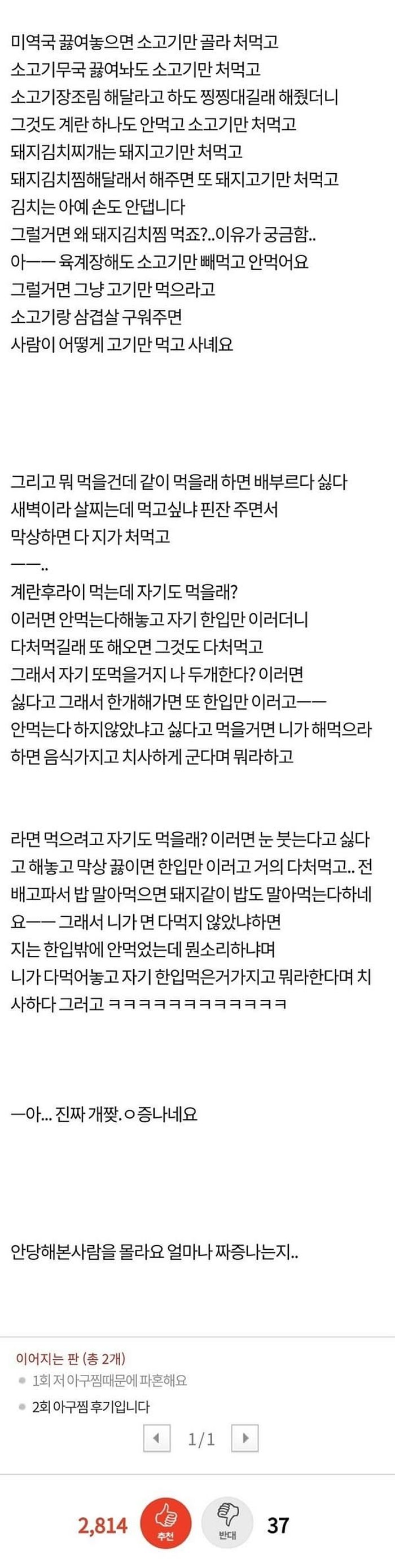 애니멀플래닛