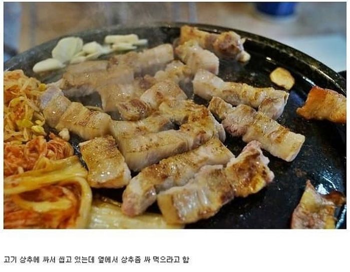 애니멀플래닛