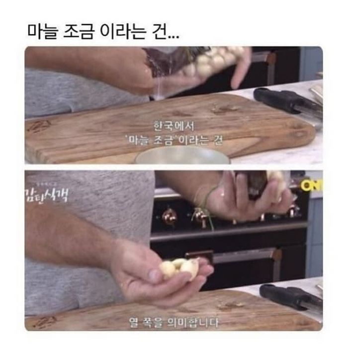 애니멀플래닛