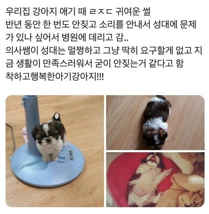 애니멀플래닛