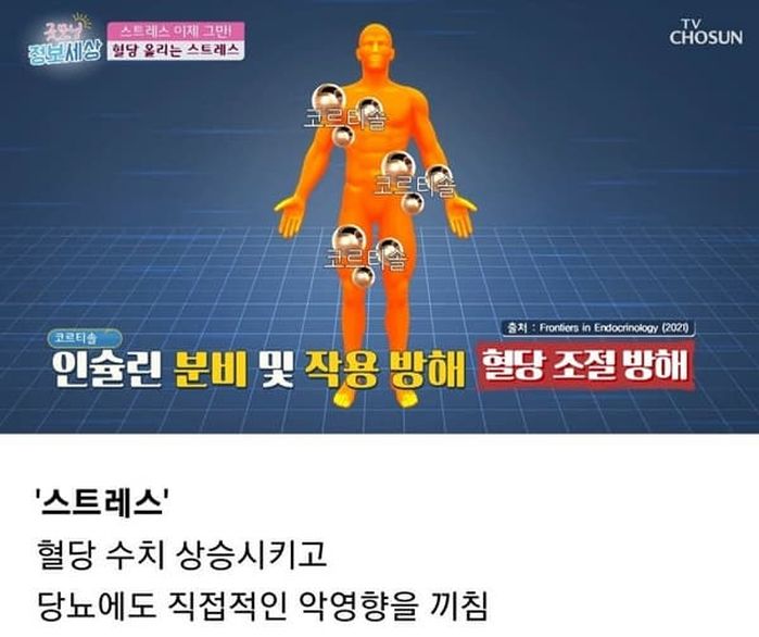 애니멀플래닛