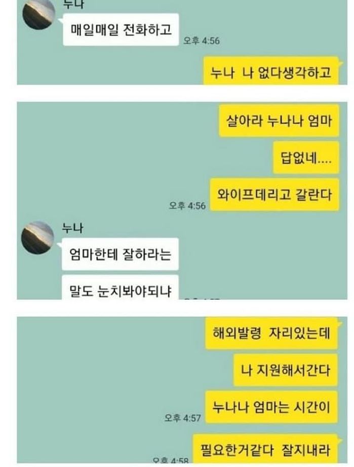 애니멀플래닛