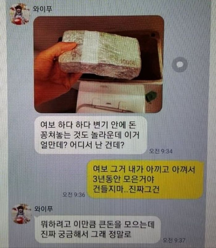 애니멀플래닛