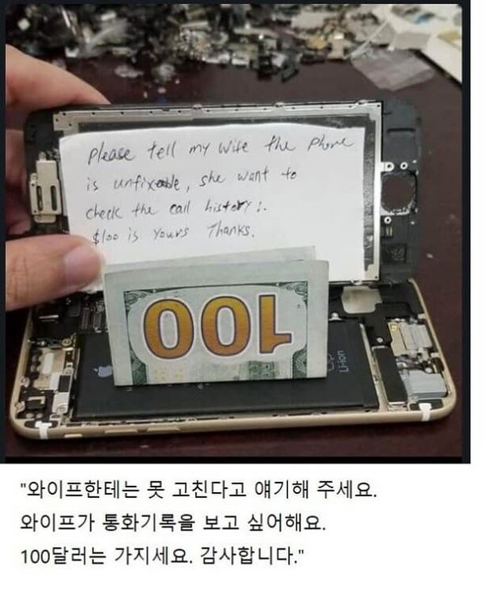 애니멀플래닛