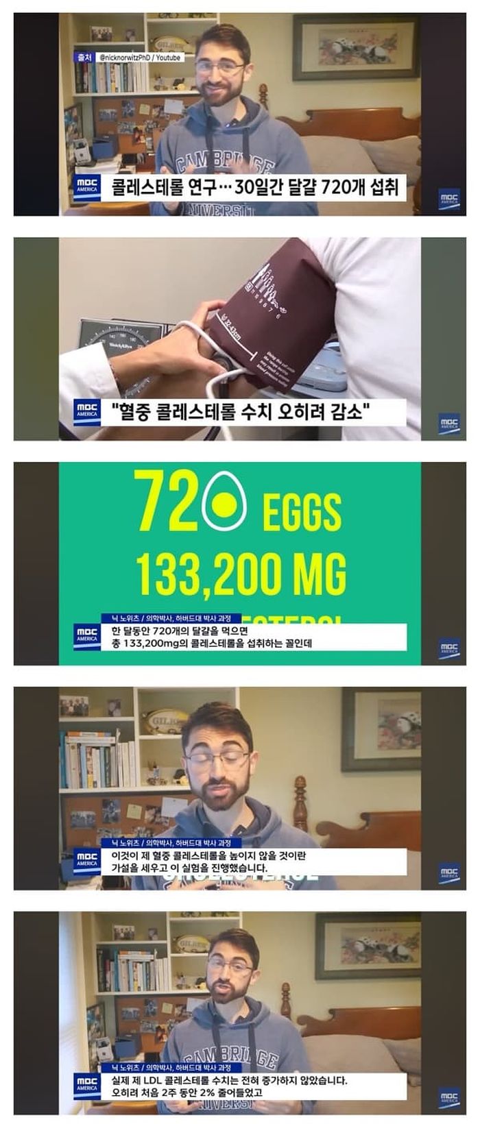 애니멀플래닛