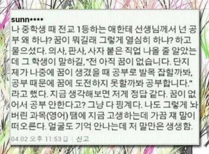 애니멀플래닛