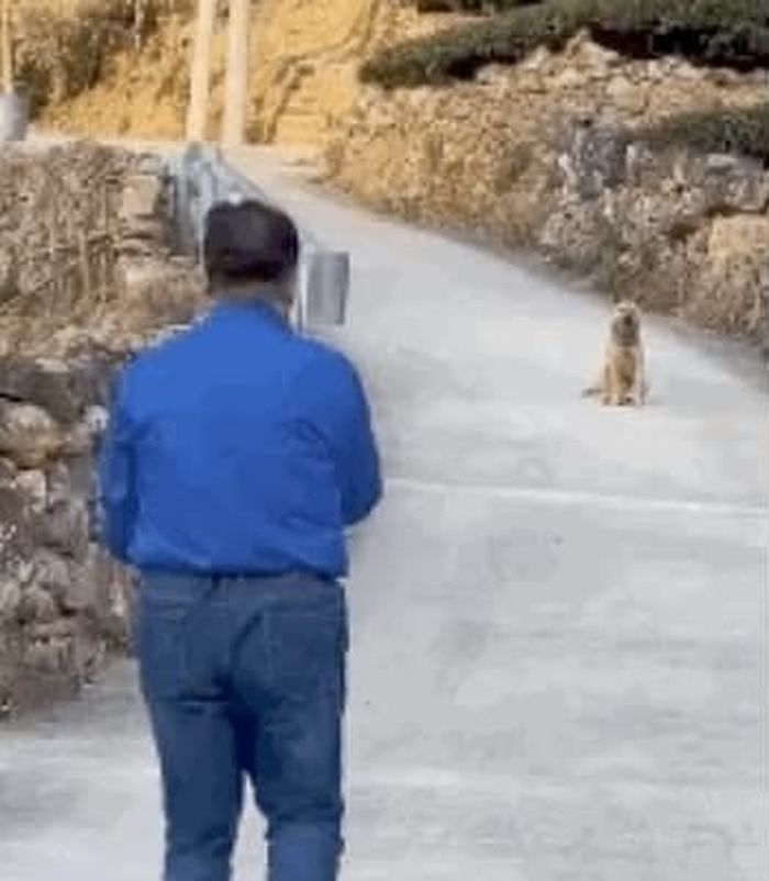 애니멀플래닛