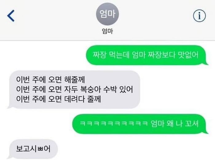 애니멀플래닛