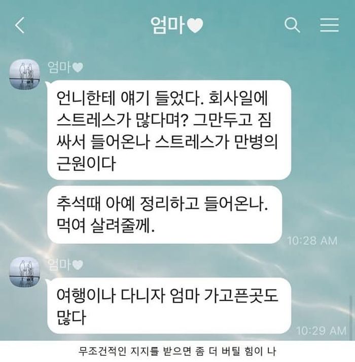 애니멀플래닛