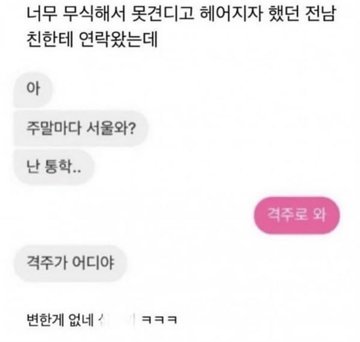 애니멀플래닛