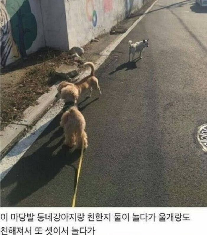 애니멀플래닛