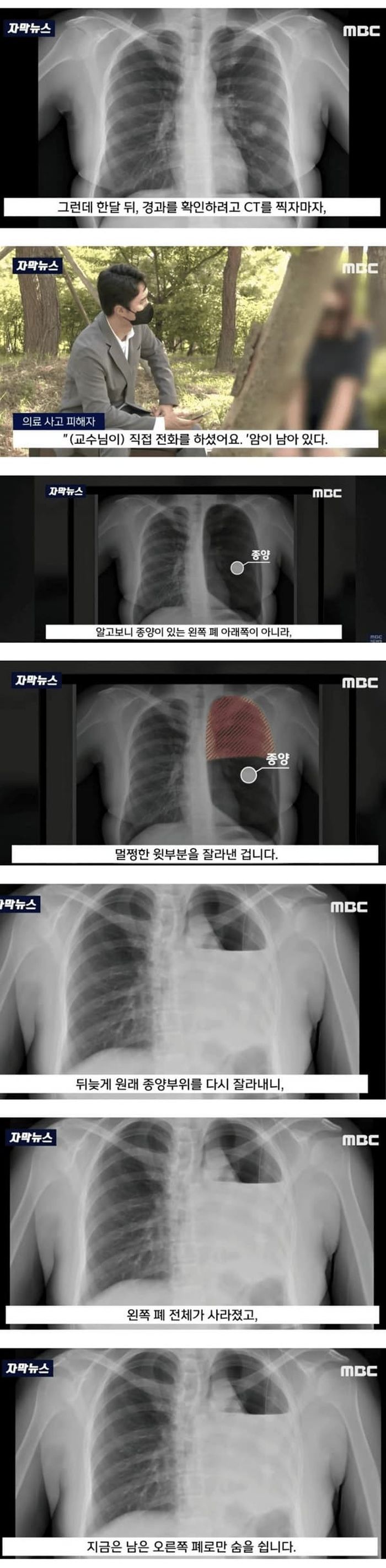 애니멀플래닛