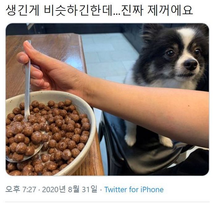 애니멀플래닛