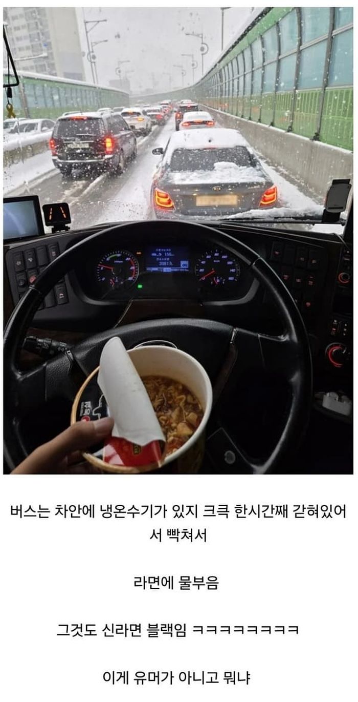 애니멀플래닛