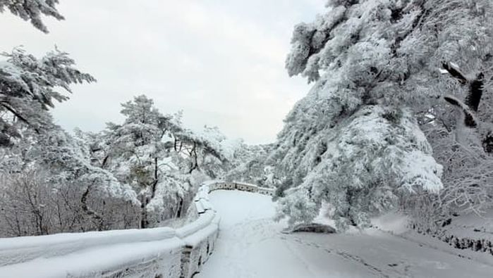 애니멀플래닛