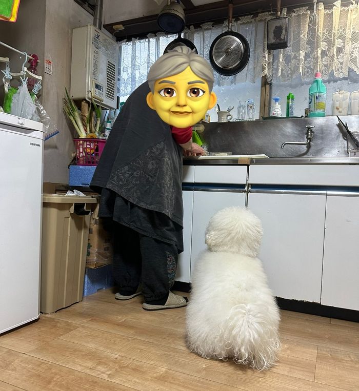 애니멀플래닛
