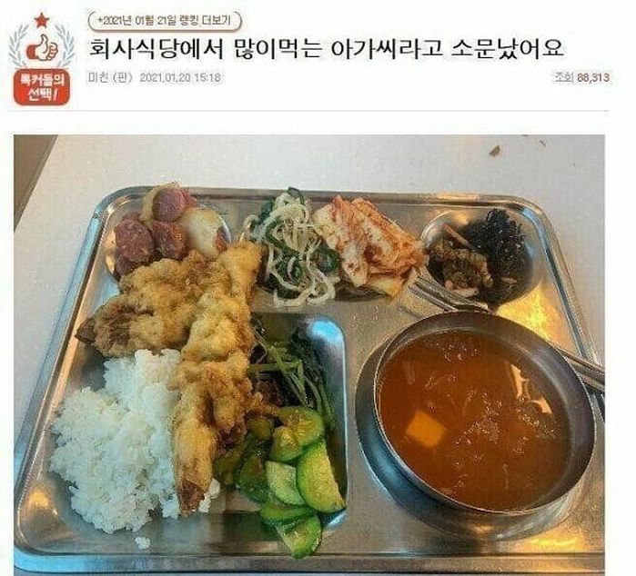 애니멀플래닛