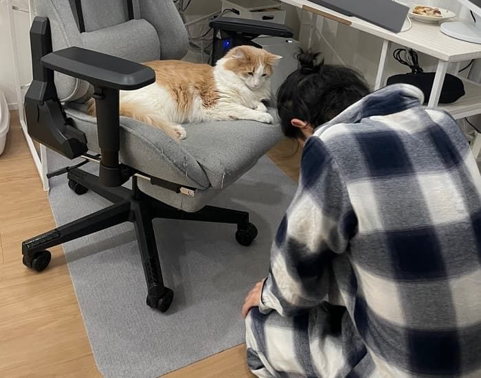 애니멀플래닛