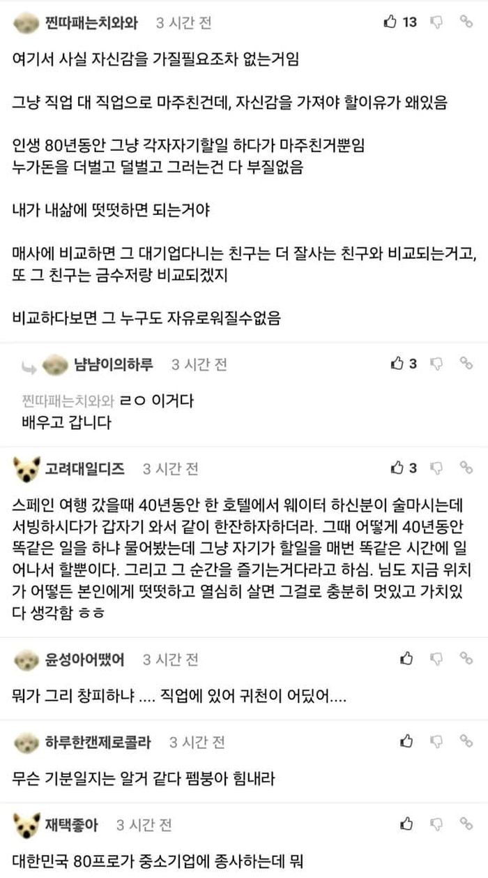 애니멀플래닛