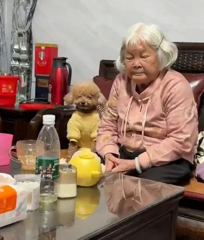 애니멀플래닛